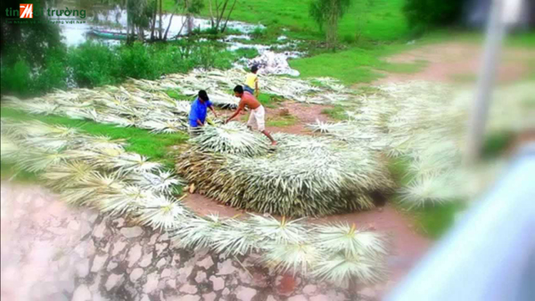 Thời[-]tiết[-]ngày[-]21[-]tháng[-]7:[-]Trung[-]Bộ[-]trời[-]mát,[-]nền[-]nhiệt[-]thấp[-]hơn[-]trung[-]bình[-]hàng[-]năm